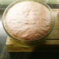 El cooksnap de Maria José V. cuando hizo Bizcoflan (Gourmetmaxx 9in1).