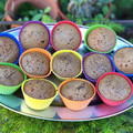 El cooksnap de Zubito cuando hizo Muffin de banana y chocolate.