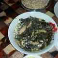 صورة من الورد الجوري ، شاركها بعد تجربة وصفة ملوخية بالدجاج 😋