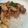 รูป Cooksnap ของ Gift Monthiralak เมื่อเขาทำ ไก่ทอดกระเทียม by หมอไทย