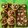 Cooksnap dari Silvani Ponto untuk resep PIE BROWNIES PERJUANGAN #pr_anekapie