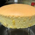 BessCiou 的 香濃起司*古早味蛋糕（小） cooksnap