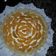 El cooksnap de Marcia Galvan cuando hizo Tarta de durazno y crema pastelera súper fácil!!.