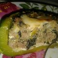 El cooksnap de Mirta Alfonzo cuando hizo Zapallitos rellenos al gratín.