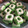 Cooksnap dari Devi ChaNia HoSen untuk resep Kue putu ayu super lembut