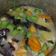 Cooksnap dari inpoenya untuk resep Sup Sumsum Tulang Sapi