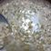 Cooksnap dari Natasya Putri untuk resep Bubur Kacang Hijau Kuah Santan