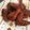 Cooksnap dari Fi3 untuk resep Spicy Chicken Wings