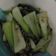 รูป Cooksnap ของ Num Teana เมื่อเขาทำ กวางตุ้งฮ่องเต้ผัดน้ำมันหอย