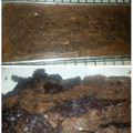 Cooksnap dari Iga Ari Santini untuk resep Brownies Sungai Coklat