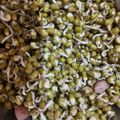 Kuku Gupta का कुकस्नैप जब उन्होंने रोस्टेड भेलपुरी (roasted bhelpuri recipe in Hindi) बनाया था।