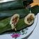 Cooksnap dari Asti Amalia untuk resep Nasi Uduk Bakar Teri Jengki(#pr_masakanbungkusdaun)