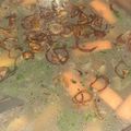 Cooksnap dari dina puspita untuk resep Sup sosis jamur kuping