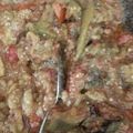 Cooksnap dari Muh Arsyad untuk resep Terong bakar (tarung babanam) dengan sambal santan terasi