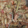 Cooksnap dari Muh Arsyad untuk resep Terong bakar (tarung babanam) dengan sambal santan terasi