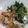 Cooksnap dari Vidya Niiin untuk resep Urap-Urap Kelapa