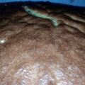 El cooksnap de marysol cuando hizo Bizcocho de yogurt.