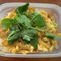 なーなちゃん's cooksnap of when they made *厚揚げのカツ丼風卵とじ*.