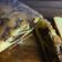 Cooksnap dari Mamake_Wawa untuk resep Simple Lemon Pound Cake （ No Mixer )