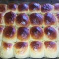 El cooksnap de Maria Morales cuando hizo Pan de Leche.