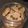 Cooksnap dari septa rini untuk resep Cookies Tepung Ketan (Free Gluten)