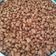 Cooksnap dari Anha Moezha untuk resep Kacang disko