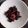 Ahasena Khondekar - Dalia's cooksnap of when they made লাল শাক ভাজা (Laal shak bhaja recipe in Bengali).