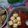 Azanti's cooksnap of when they made Sambal Dadak ala resto sunda.