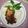 Cooksnap dari Savira Yulia Chandra untuk resep Ayam Goreng Lengkuas #PRramadhan_Terkaporit