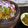 Sommy's cooksnap of when they made Isi ewu.