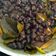 Cooksnap dari Verna untuk resep Tutut kuah kuning Ala Umi