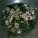 Cooksnap dari Amelia Sofiana untuk resep Sayur Sawi Bakso Tahu