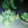 Cooksnap dari Dinda Putri untuk resep Pandan Meringue Cookies