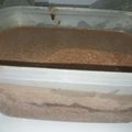 Cooksnap dari Reni Suparwati untuk resep Es krim coklat simpel