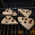 Cooksnap dari afrianidewi untuk resep Cranberry Chocolate Scone
