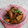 Cooksnap dari Uci Mandasari untuk resep Ayam Rica Rica Khas Manado