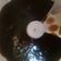 Cooksnap dari Shabira Alisha untuk resep Puding coklat