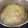 La cooksnap de Larx Power cuando cocinó Tallarines a la Carbonara Rápidos