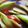 Cooksnap dari M Billing untuk resep Asinan mangga Muda