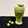 کوک اسنپ Ashpazi Ba Behnaz بعد از امتحان کردن نوشیدنی گوجه سبز و گلپر😍🤤🤩Green plum and angelica drink.