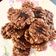 Cooksnap dari Gavrel Aegis untuk resep Oat Choco Cookies - Pakai teflon, Tanpa oven