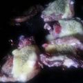 El cooksnap de marcelojkaviercersosimo cuando hizo Chuletas de ternera al horno.