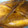 El cooksnap de Judit Capdevila cuando hizo Empanada gallega de atún.