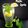 Cooksnap dari Camelia Siu Va untuk resep Mojito Sprite