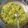 SHAILAJA BANERJEE's cooksnap of when they made रवा उपमा(Rava upma recipe in marathi).