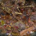 Cooksnap dari Murli Nuraini untuk resep Bebek bumbu hitam khas madura