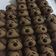 Cooksnap dari Helena Litasari untuk resep Milo "Doggie" Cookies
