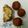 Shiksha Swami's cooksnap of when they made Corn Cheesy Bomb Ball.
