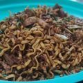 Cooksnap dari Dian Puspita Ramadhan untuk resep 21. Mie Goreng Burung Dara Praktis