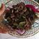 Cooksnap dari ClaraDevira untuk resep Tumis cumi asin pedas